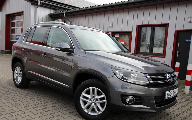 Volkswagen Tiguan cena 52900 przebieg: 184000, rok produkcji 2013 z Gostynin małe 781